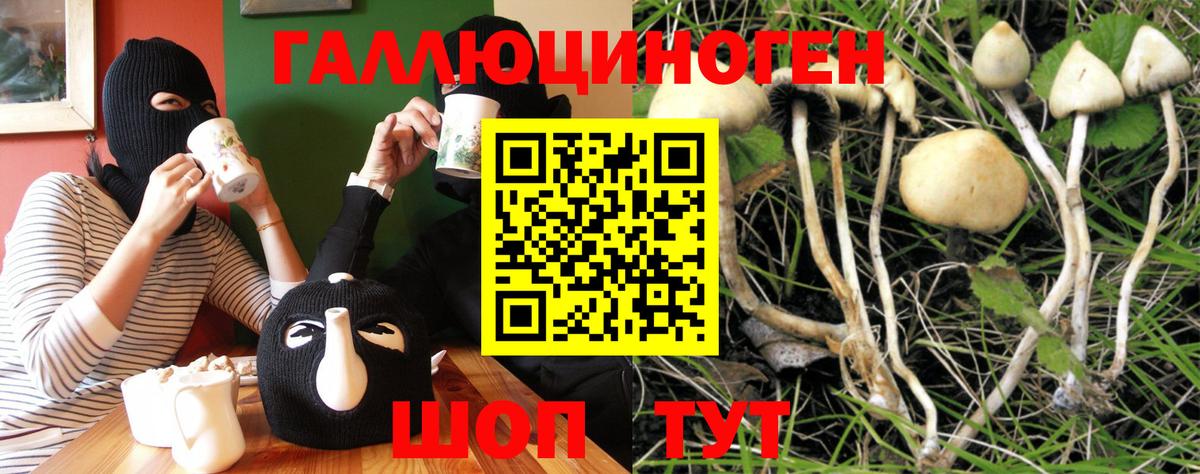 Галлюциногенные грибы Cubensis Амурск