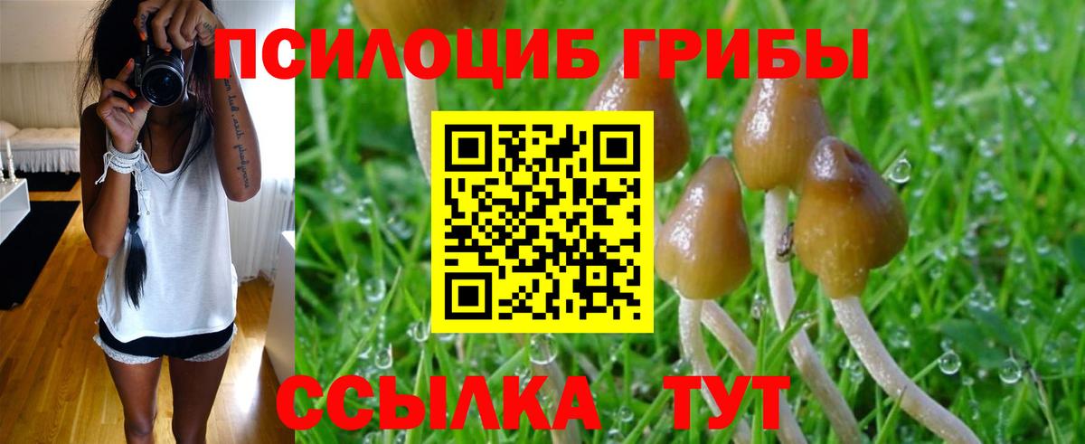 Псилоцибиновые грибы ЛСД  Вход с VPN  Галлюциногенные грибы Magic Shrooms  Амурск 